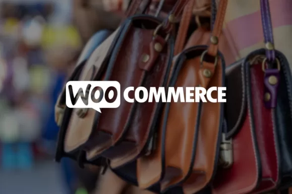 Loja Virtual WooCommerce : 11 regras para ajudar com a segurança